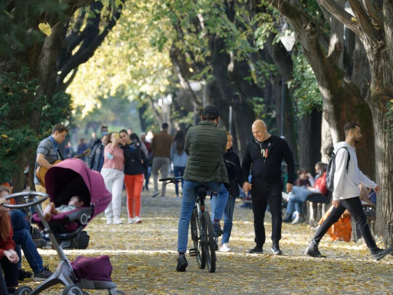 Servizio Civile Universale